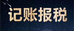 南山一家剛剛成立的新公司，要怎么記賬和報(bào)稅？