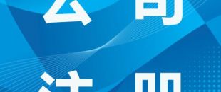 深圳創(chuàng)業(yè)總結(jié)，注冊公司有哪些類型？